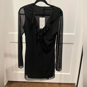 ZARA, Ruffle, Flocked Dress, Medim, NWT!